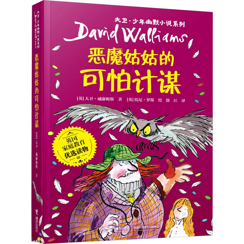 正版 恶魔姑姑的可怕计谋 大卫威廉姆斯 大卫少年幽默小说系列