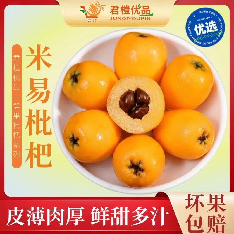 四川米易枇杷鲜果新鲜采摘水果产地直发爆甜多汁五星高山老树大果