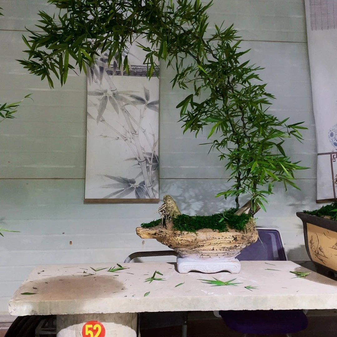 无花朵李***.簕竹哈哈哈哈哈哈哈哈