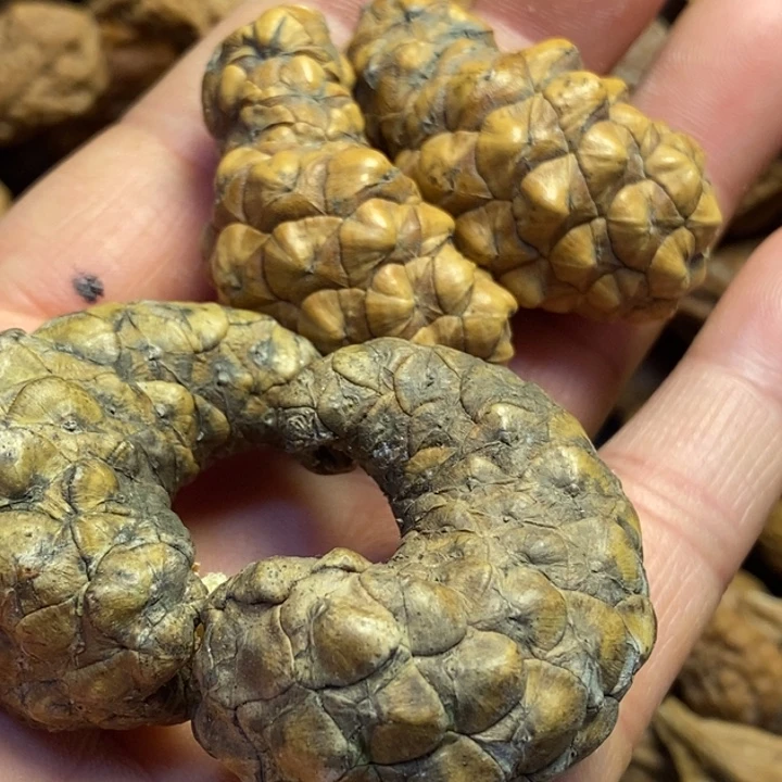 吊坠桃核东北特产4