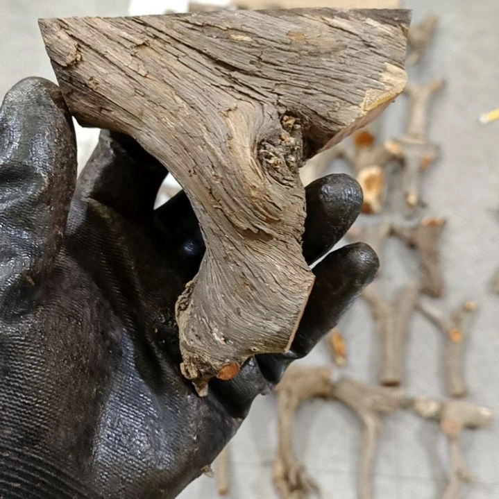 凹****香榧木崖柏原叉崖柏原叉崖柏原叉