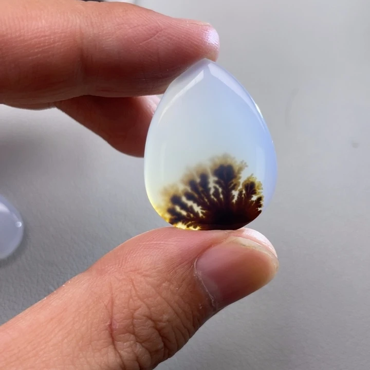 玛瑙/玉髓未镶嵌颈饰鱼**好