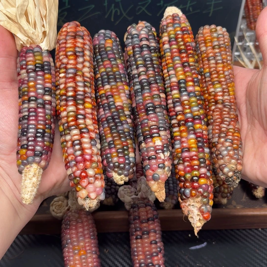 柏香籽/百香籽吊坠彼*