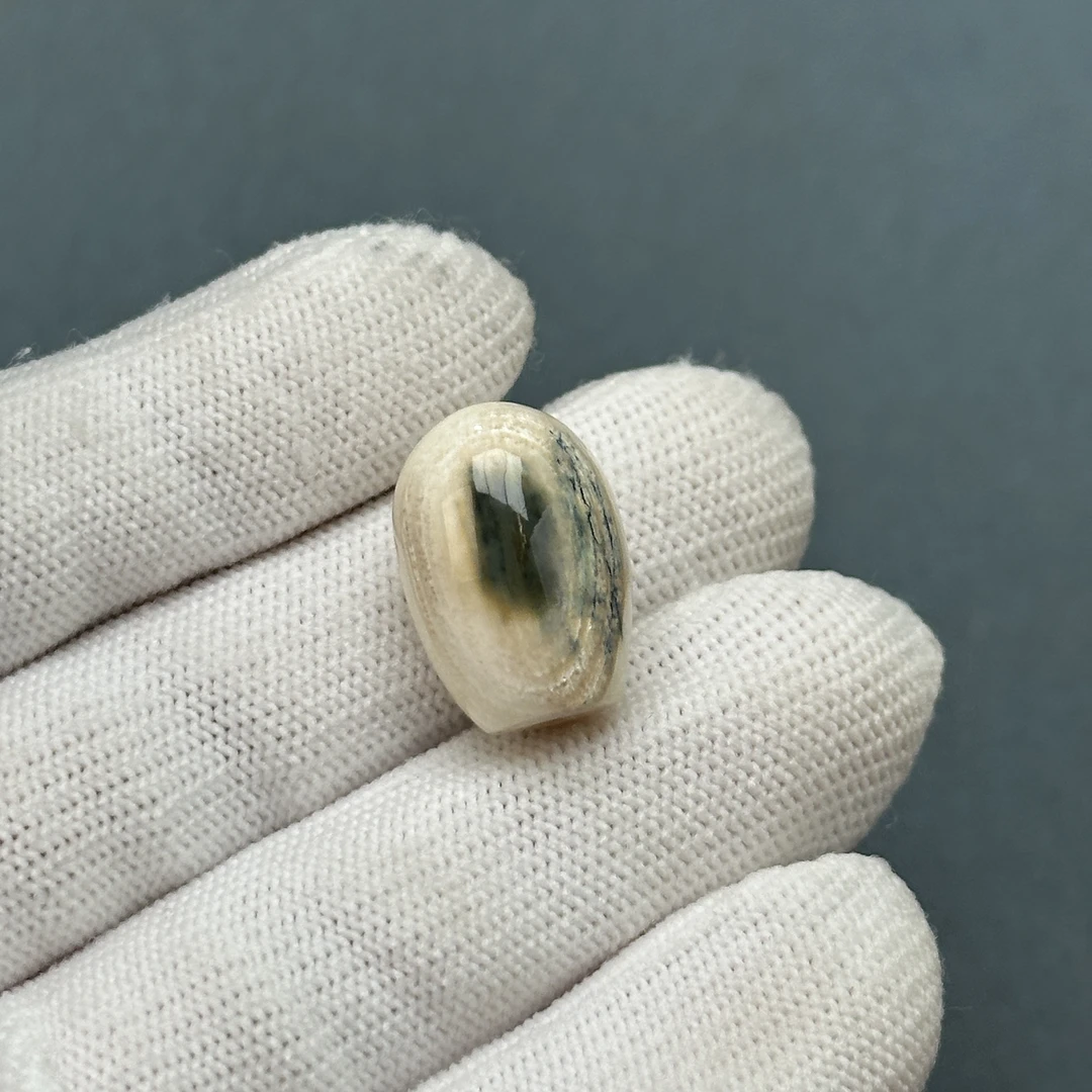 D3211天然猛犸牙 鲨鱼背三通13.3x19.1mm支持鉴定 假一罚四