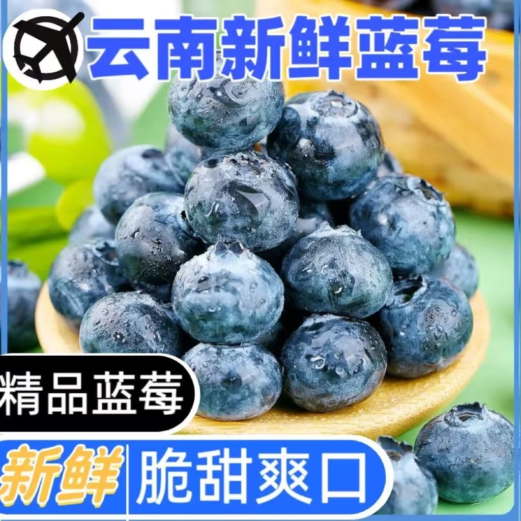 【买4盒送4盒蓝莓果顺丰】花香25云南抚仙湖基地新鲜水果当季鲜空运