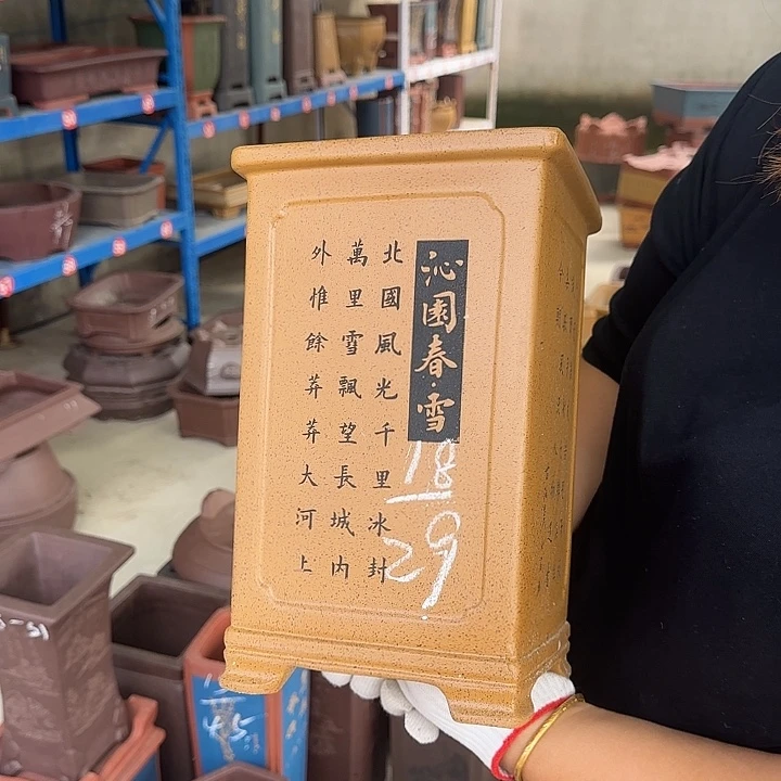 真的会好感动我是