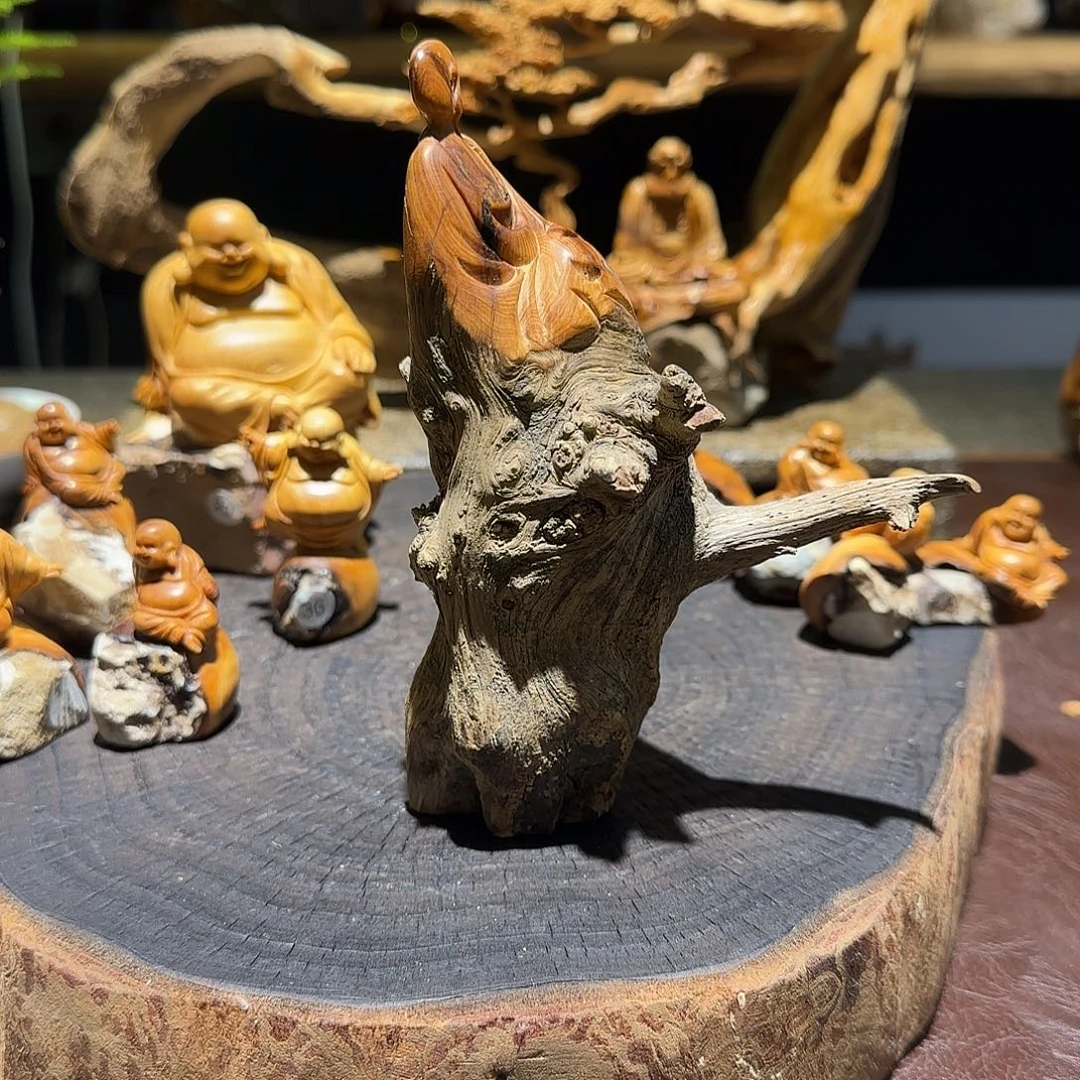 柏木（崖柏）太行集团