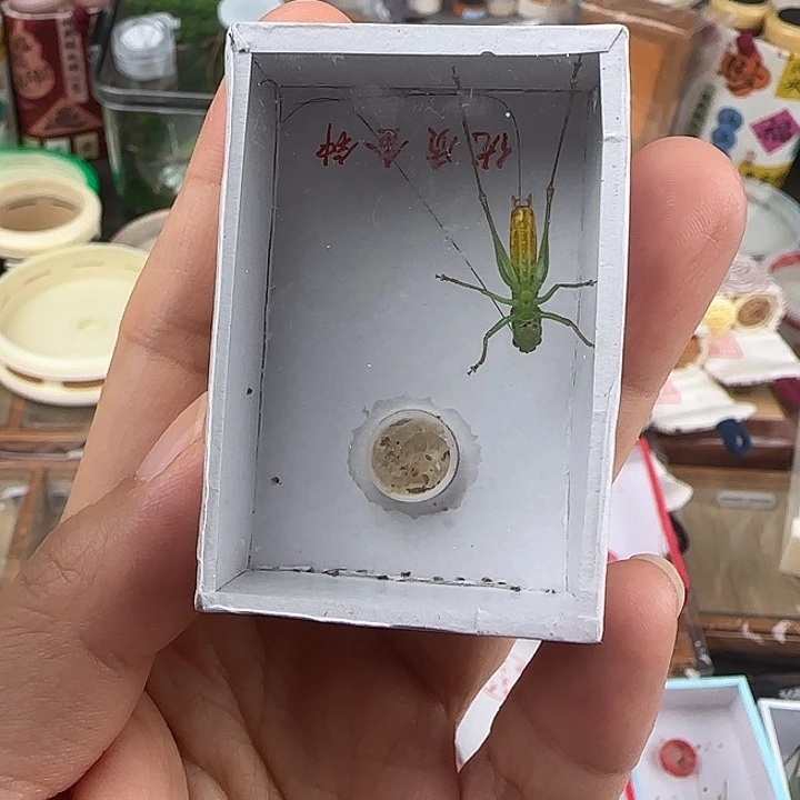 蟋蟀糖果全品一条包邮