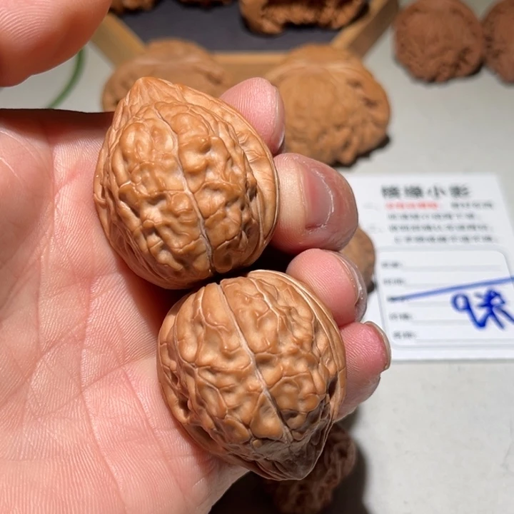 文玩核桃把件37.8龟甲纹