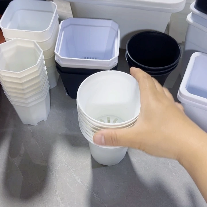 塑料白万象口9高9一组20个