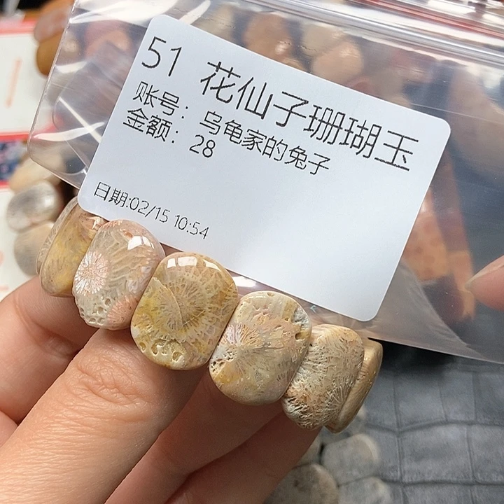 硅化珊瑚（珊瑚玉）手镯未镶嵌乌****子51