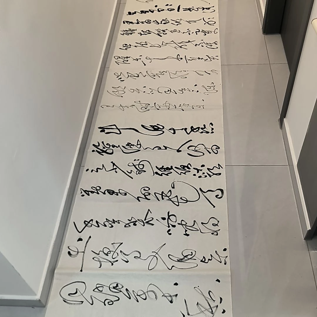 书法将进酒，江南老师书法作品