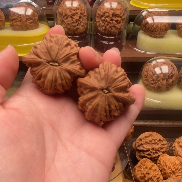 莱*.dgkkfsgkkgsgkkjkkk