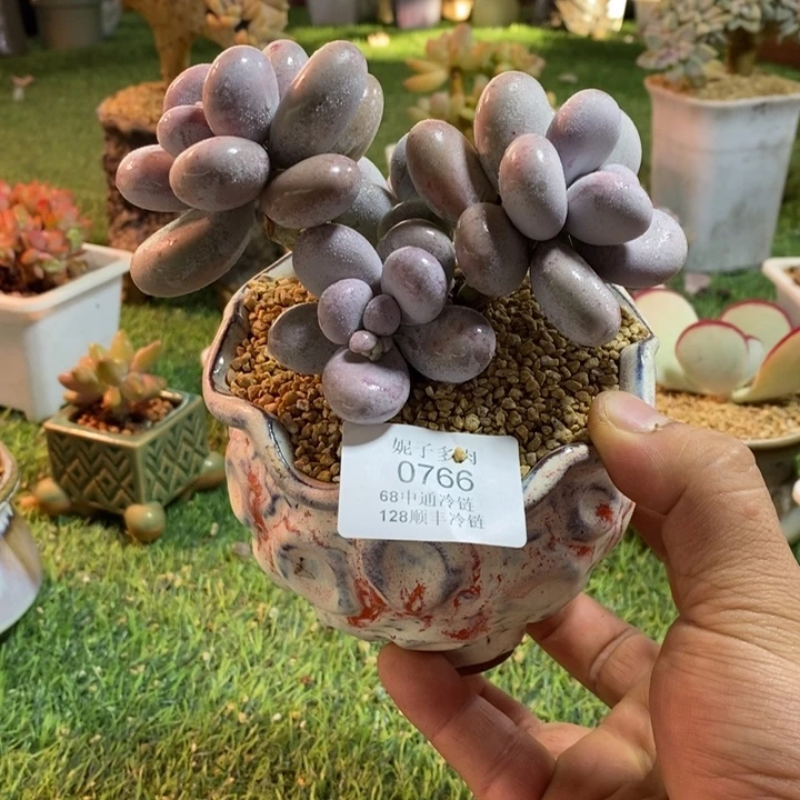 0766啊啊啊啊啊啊啊啊啊啊