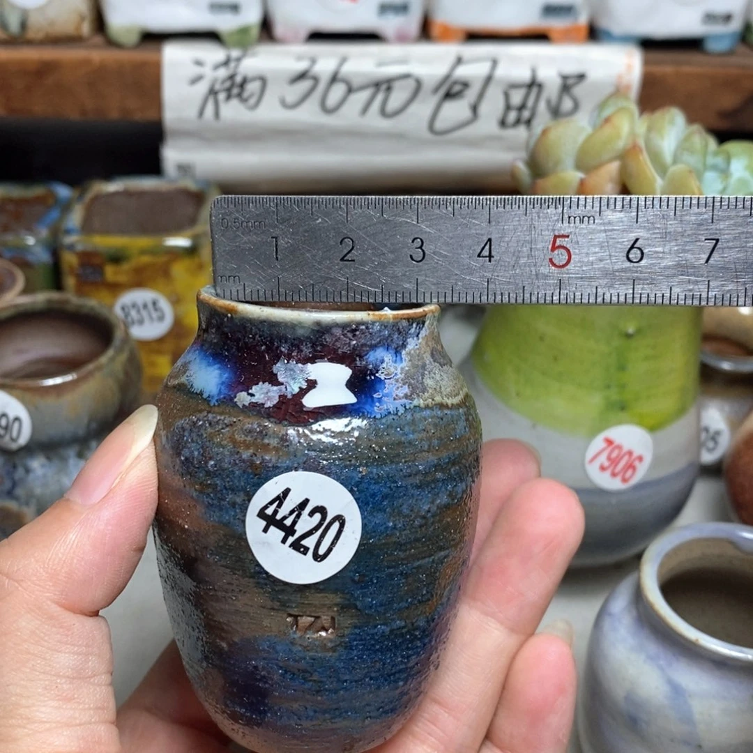 拍5送一个小礼物