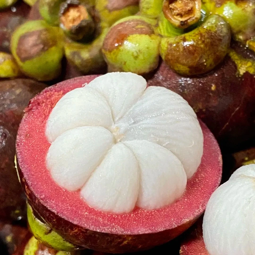 【泰国老树麻竹3A4A山竹3/7斤】大个漂亮白山竹顺丰同城送货上门新鲜吉林省