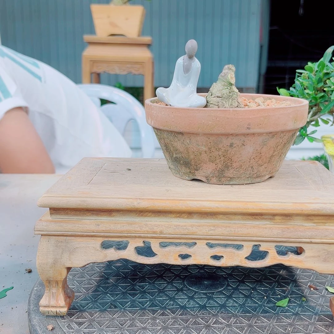 ?腊玉栀子花花花