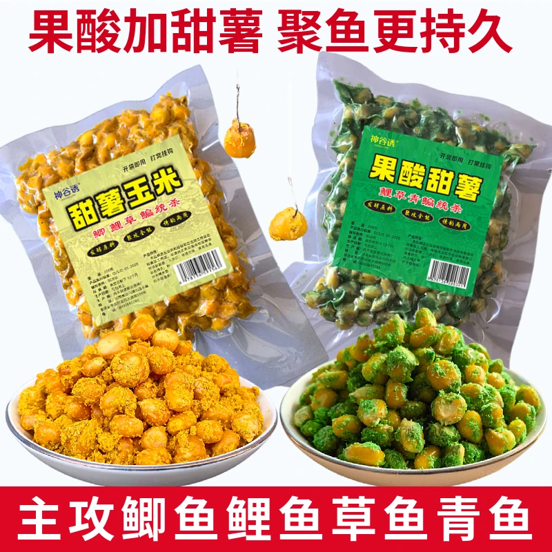 爆款老坛发酵玉米粒五谷杂粮诱打窝料鲫草鲤鱼饵野钓大物水库重窝