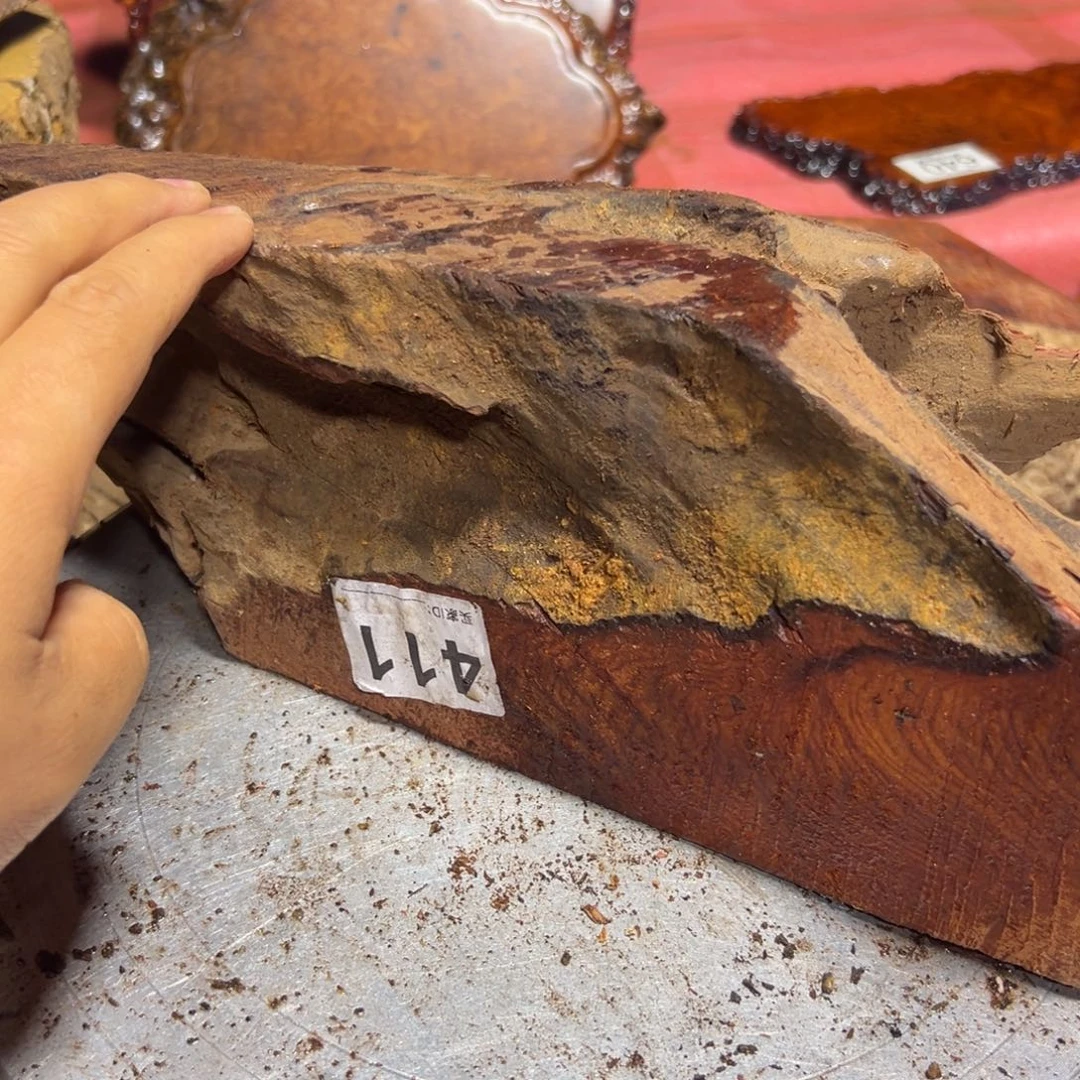 大果紫檀（缅甸花梨）