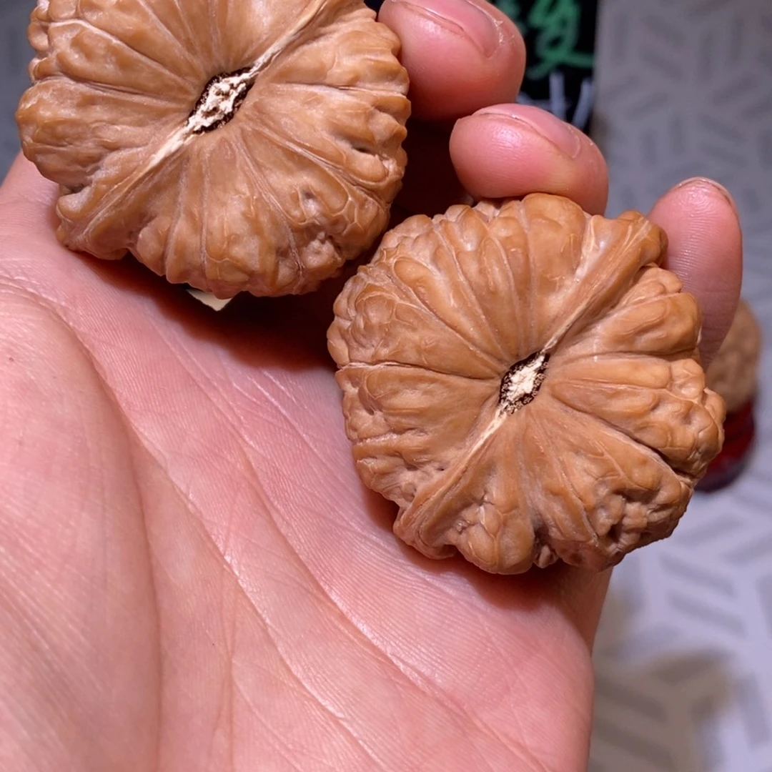 45尺南瓜墩 全品无修 白茬