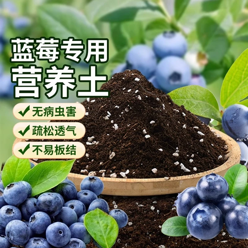 蓝莓专用土蓝莓树营养土瓜果树通用土壤蓝莓盆栽种植土有机土土壤