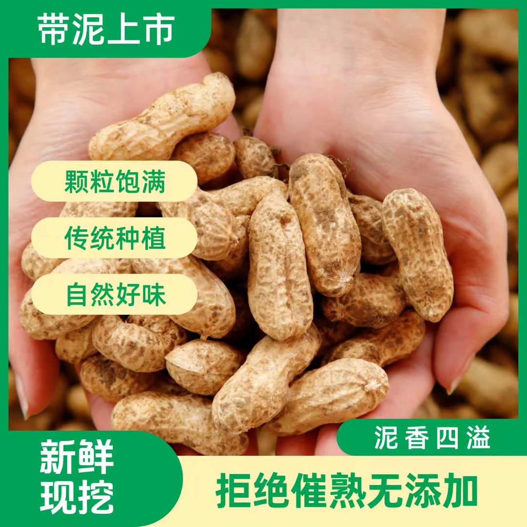 农家自种花生沙土花生新鲜带泥花生农家土特产