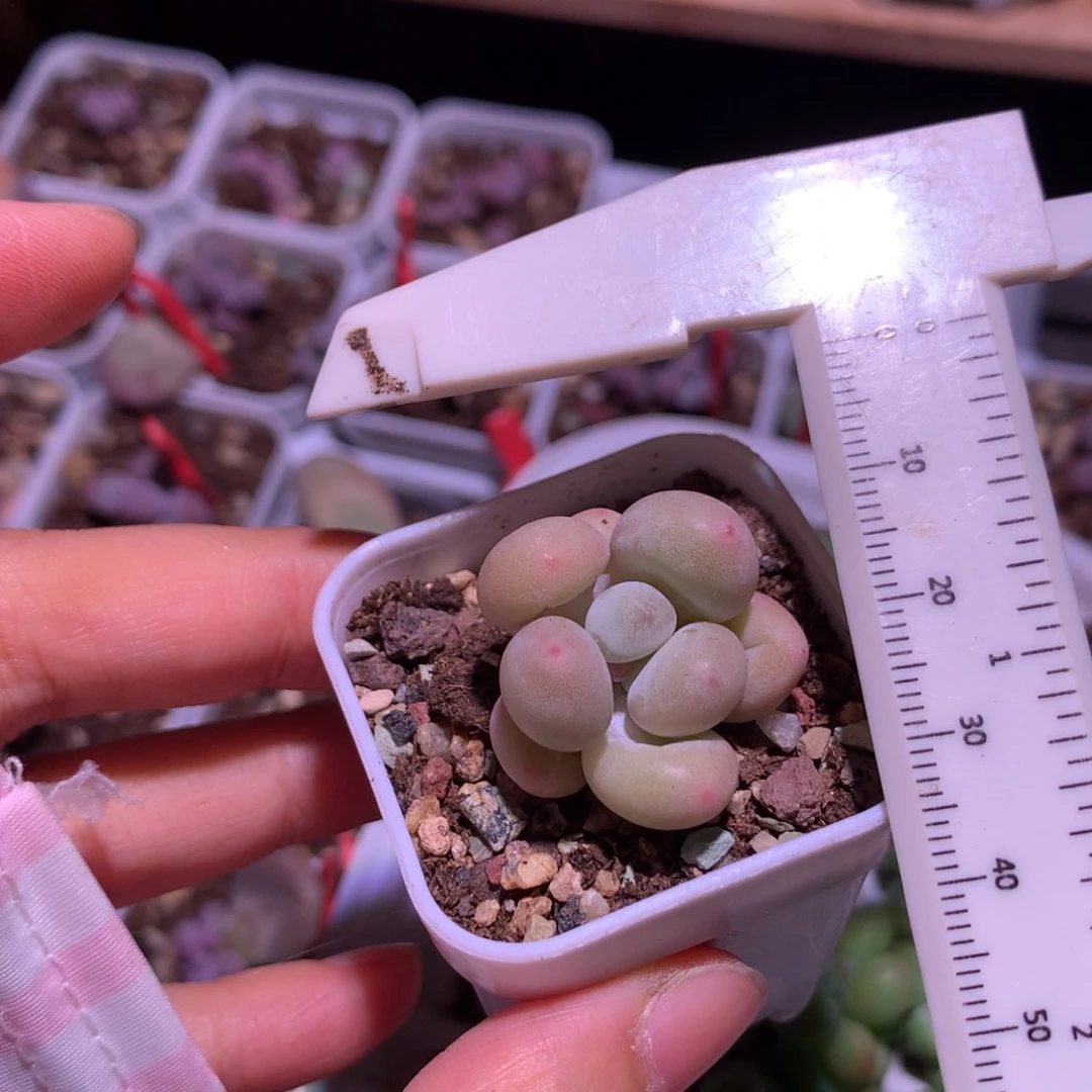 人***然和高后给哈更尴尬