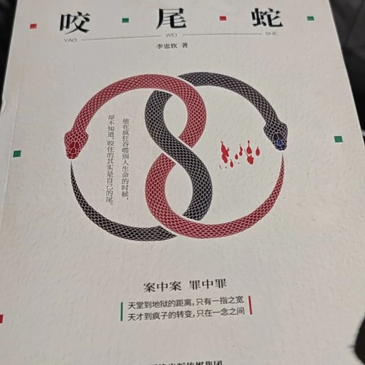 咬尾蛇平装塑封库存书