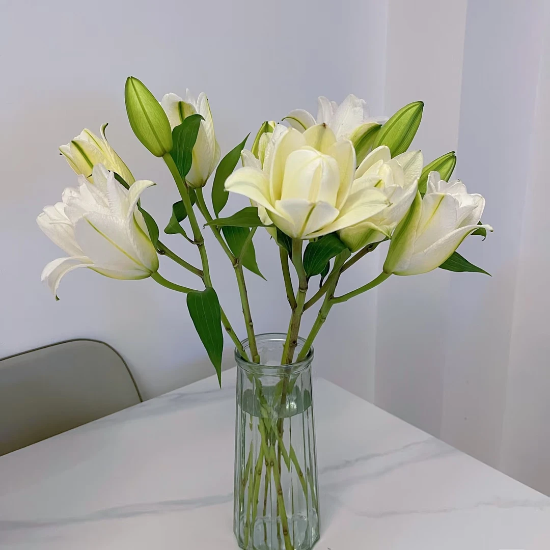 (眼线百合）亚洲无香百合，东北鲜花基地，顺丰包邮到家。