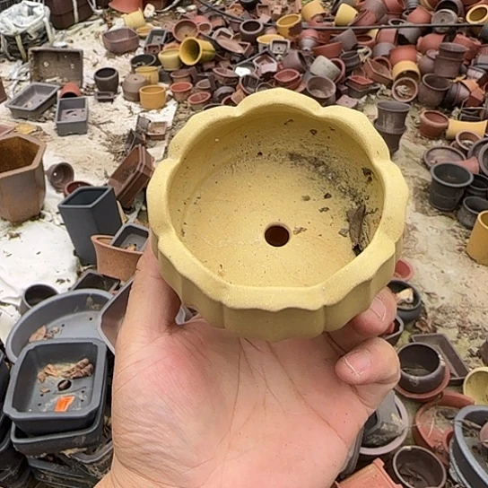 不能用你了就算啊还是想