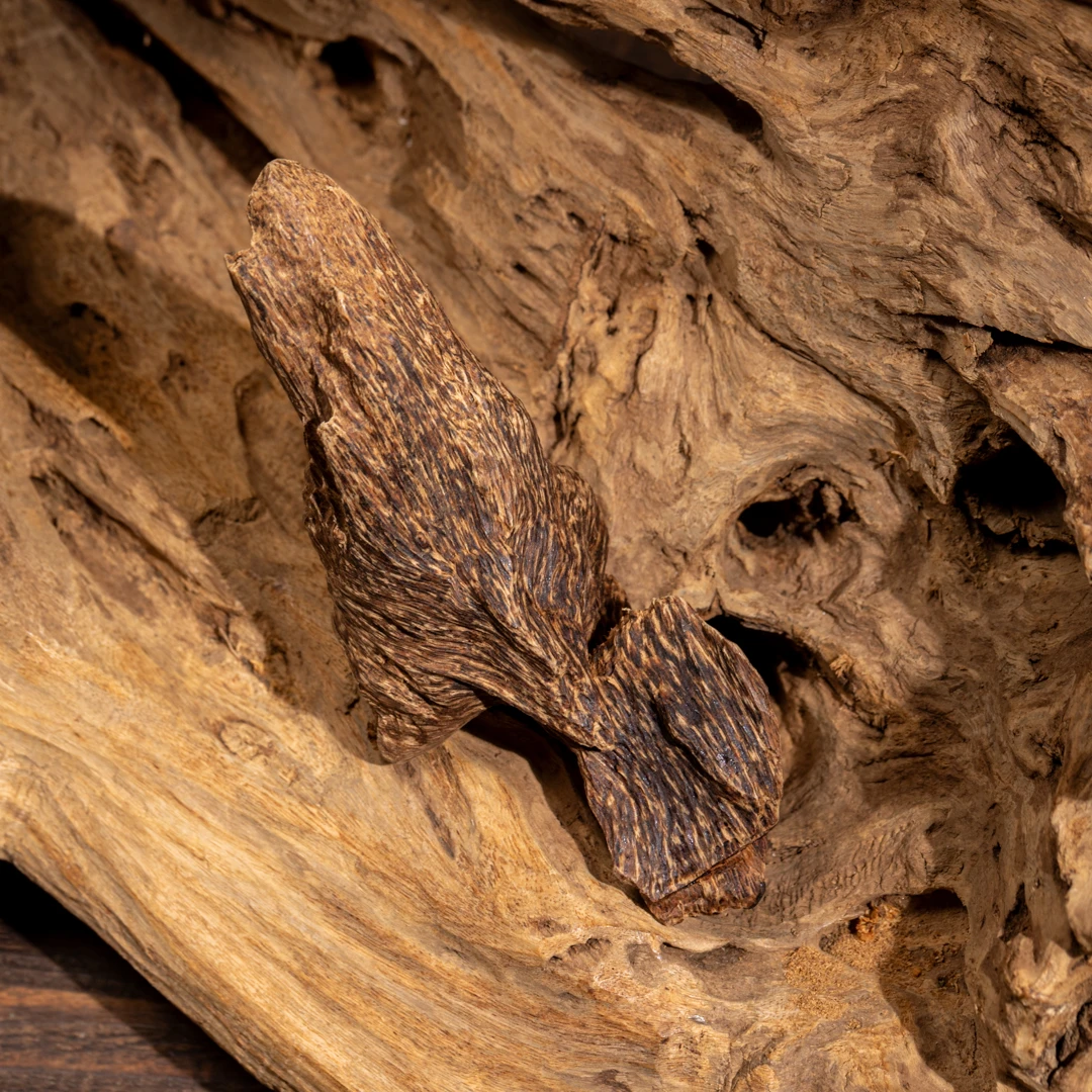 【典藏瑰宝】达拉干沉水黑棋古董级沉香《馥郁金樽》51.5g 关注播播间