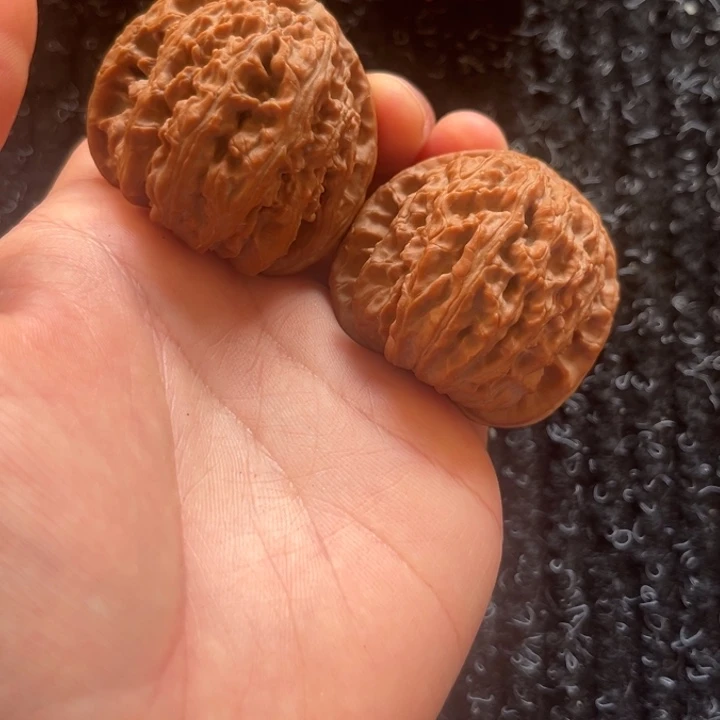 大叶紫檀（黑酸枝木类）白狮子