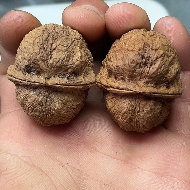 文玩核桃把件24号云铁41尺47克