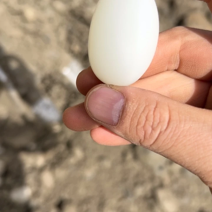 石英岩玉未镶嵌车挂