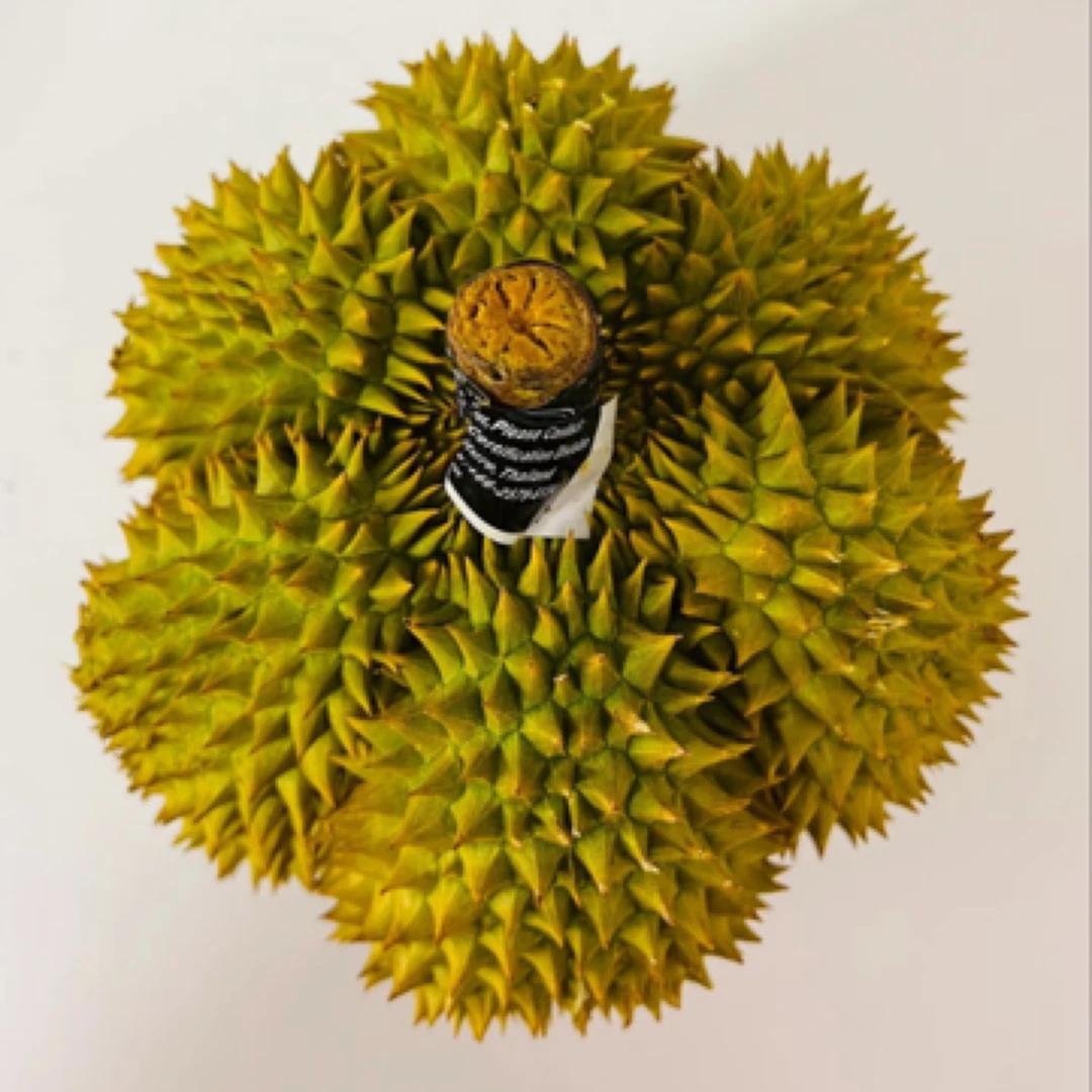 【规格果】新鲜树熟泰国金枕树熟泰国榴莲AAAA几斤核小金枕泰国