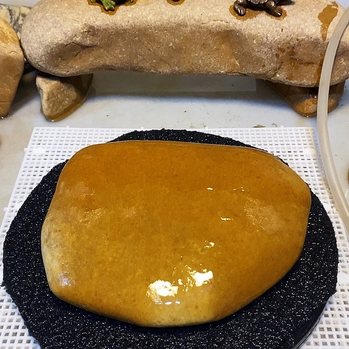 【闪购商品】乌龟爬台石