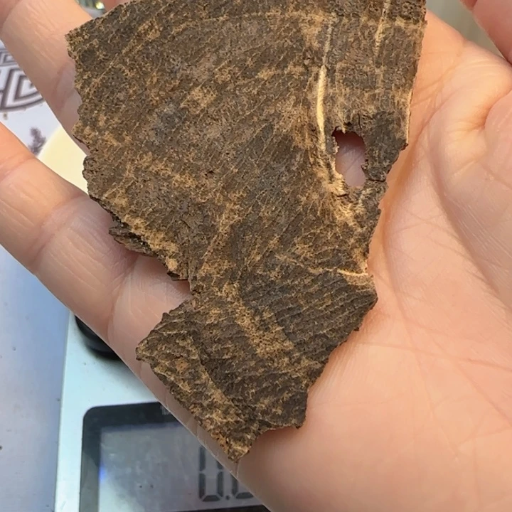 沉香摆件海南大山包头3.4克