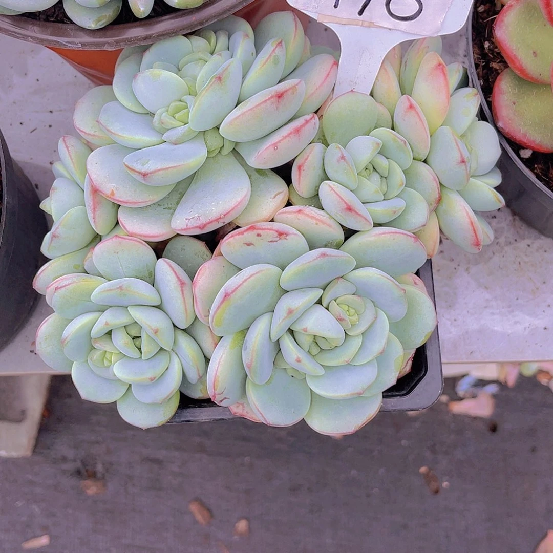 一***)0000000000000000789