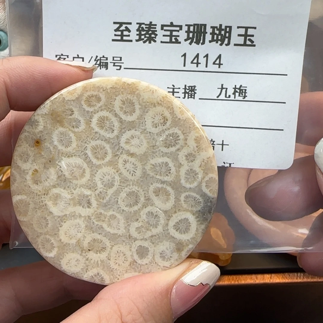 硅化珊瑚（珊瑚玉）未镶嵌颈饰