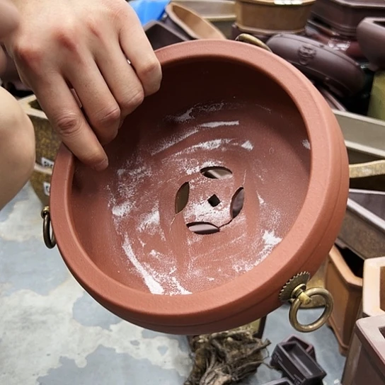 紫砂花盆中放的花