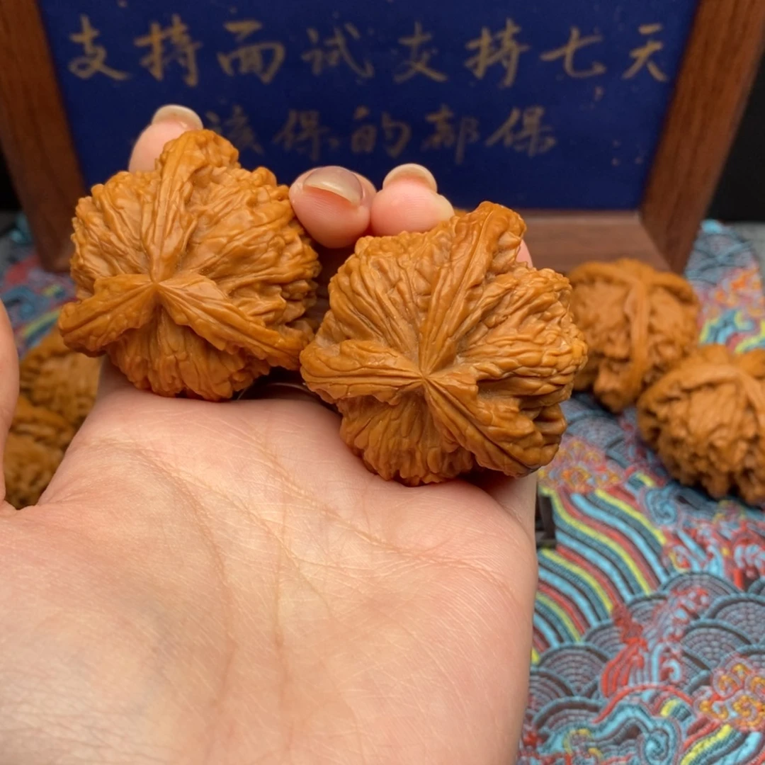 【闪购商品】羽***手白狮