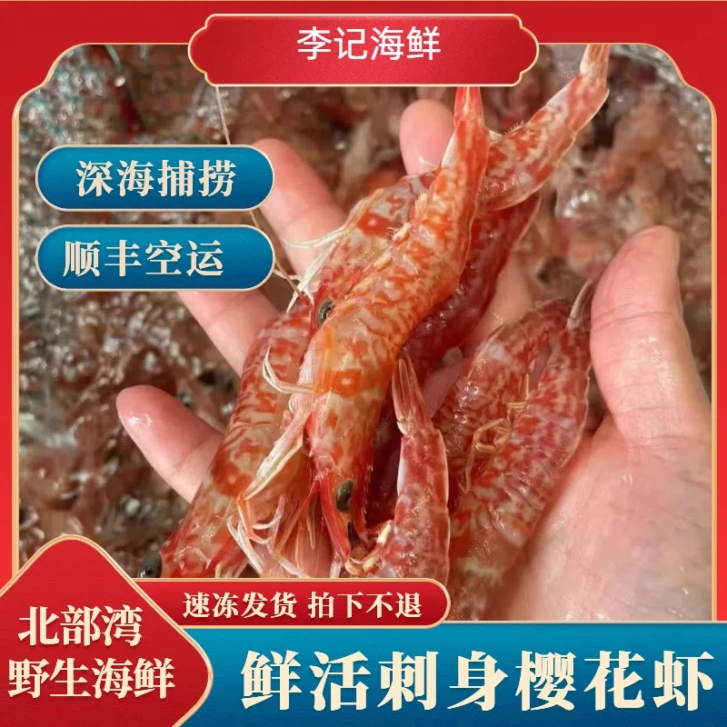 (鲜活樱花虾）北海本港 樱花虾 甜虾 新鲜上岸 加水速冻 拍下不退