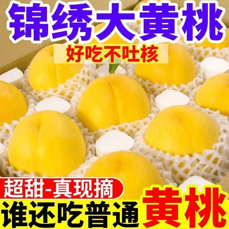 【现摘现发】正宗山东蒙阴黄金蜜桃大黄桃脆甜露天