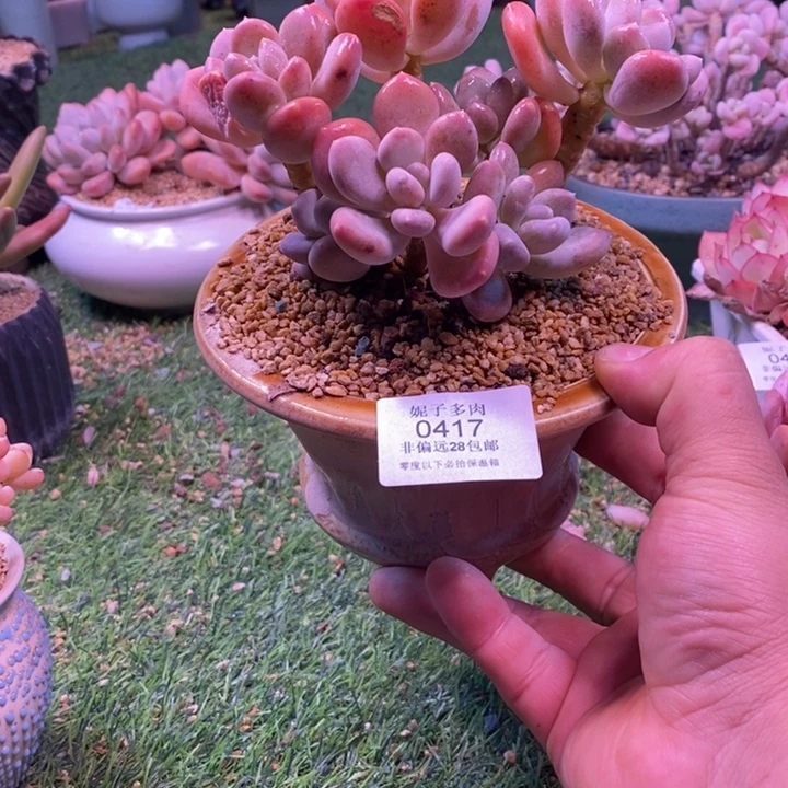 0417啊啊啊啊啊啊啊啊啊啊啊