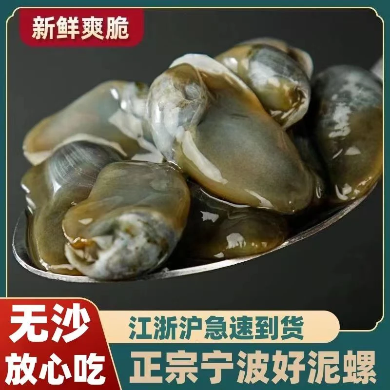 舟山黄泥螺 新鲜生腌无沙桃花泥螺 即食醉泥螺咸鲜下饭菜280g/罐