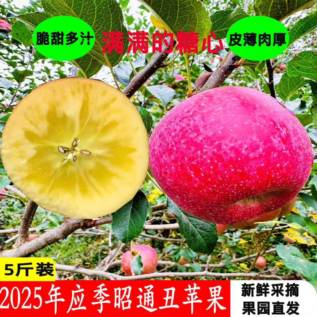 正宗云南昭通冰糖心丑苹果新鲜现摘脆甜多汁 满满的冰糖心