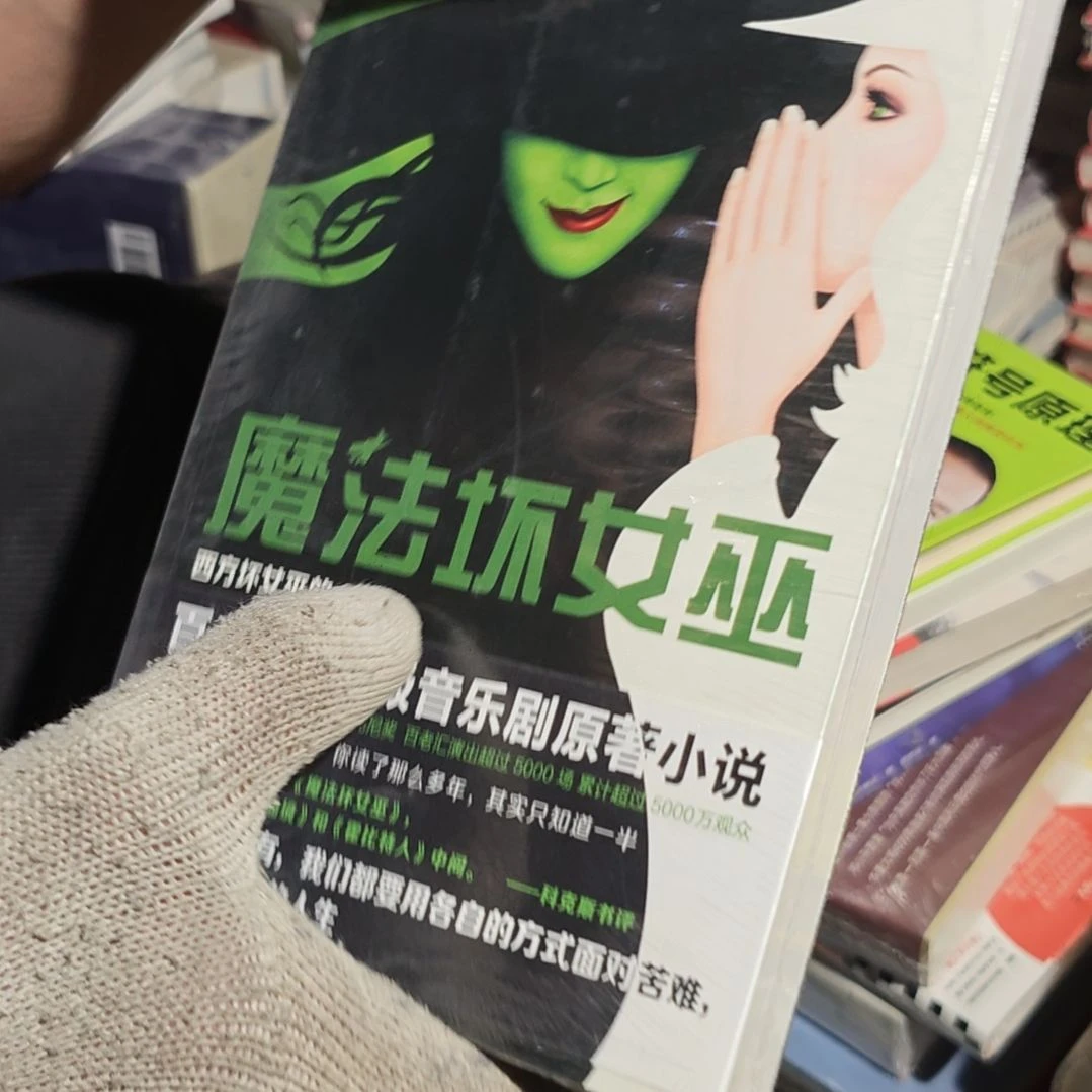 魔法坏女巫平装库存书