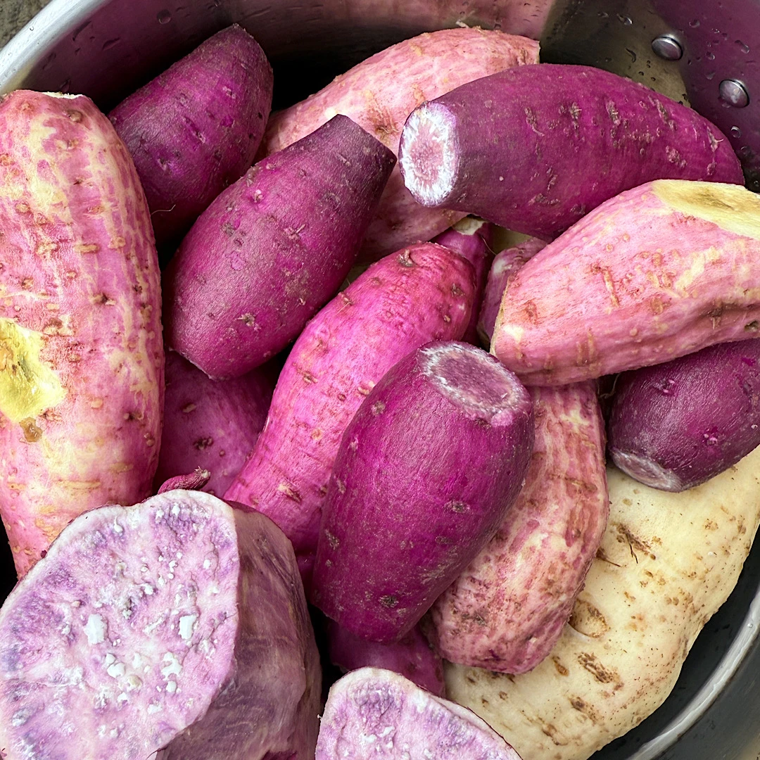 正宗陆丰地瓜 新鲜现挖香甜粉糯红薯