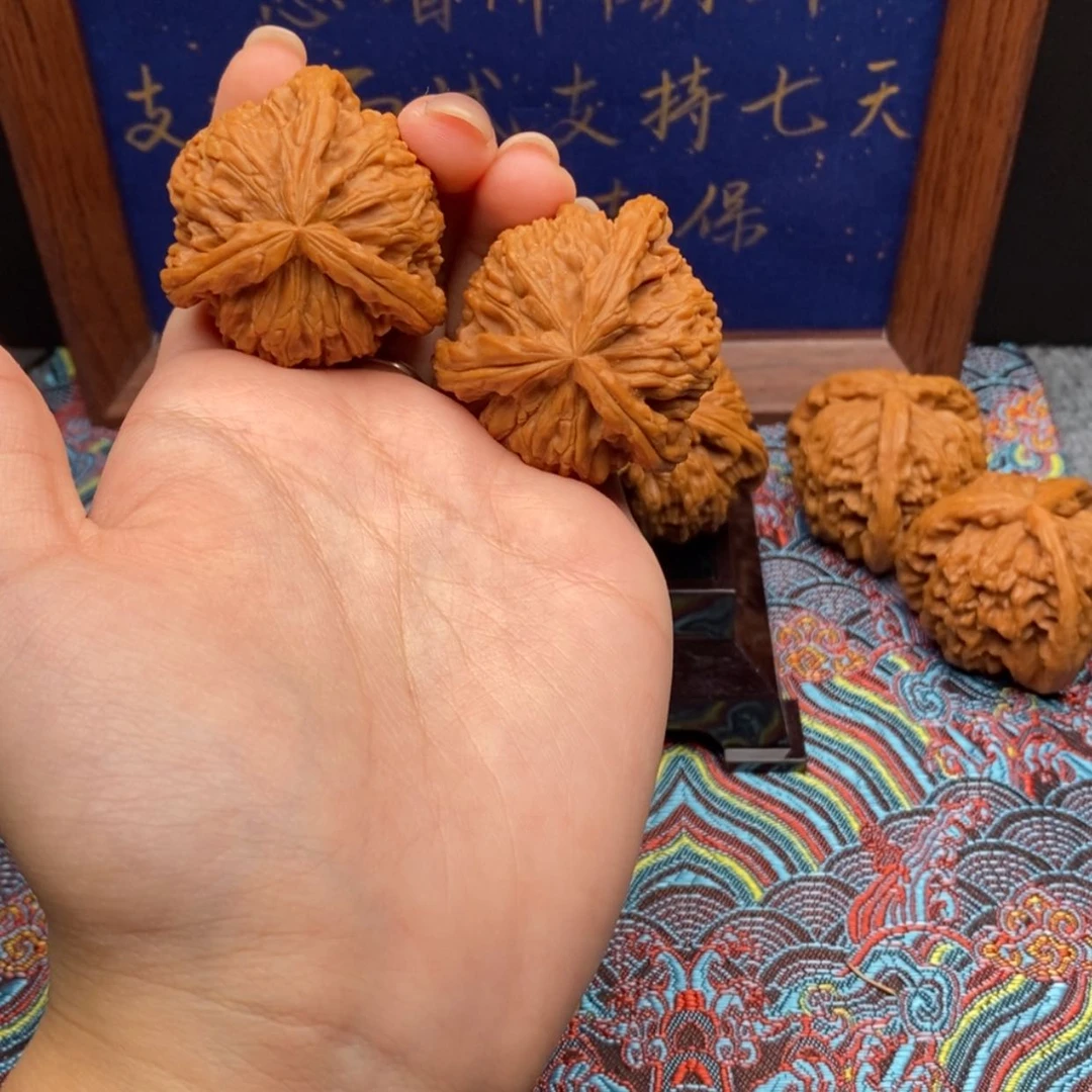 【闪购商品】啦*说白狮