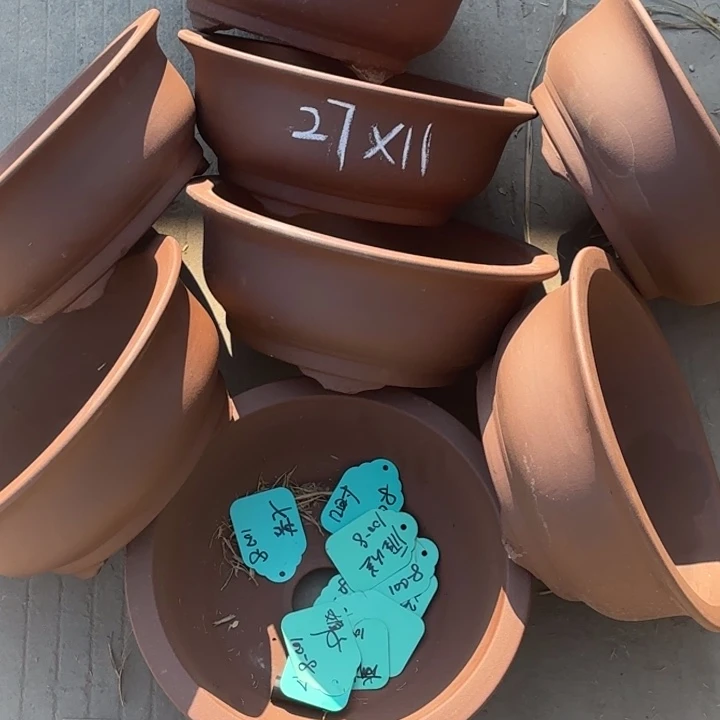 紫砂花盆         100-8